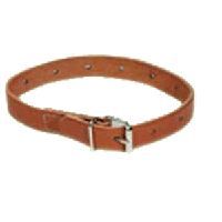 Hpfy Restraint Belts