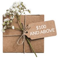 Hpfy Gift Ideas $100 and above