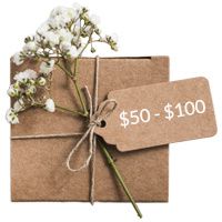 Hpfy Gift Ideas $50 to $100