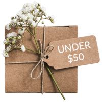 Hpfy Gift Ideas under $50