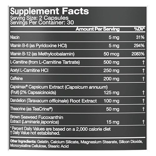 Buy Musclepharm Shred Sport Fat Burner | Weight Loss