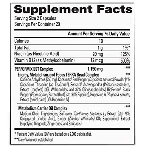 performix l carnitine Performix SST Fat Burner