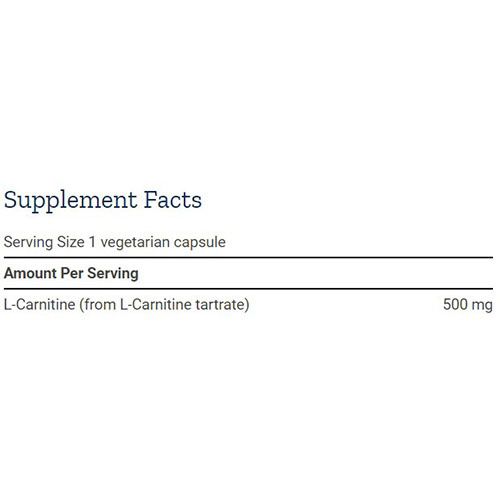 l carnitine for high cholesterol Amazon.com: Bricker Labs CARNIBLAST Liquid L-Carnitine 3000mg, Premium L  Carnitine Carnipure, Energy Nutrition, Energy Supplement and Energy  Booster, Raspberry, 16 fl oz : Health & Household