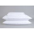 Sleep and Beyond Organic Cotton Percale Sheet Set