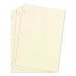 Wilson Jones Minute Book Refill Ledger Sheets