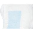 Secure Personal Care TotalDry Moderate Pads Extra Plus