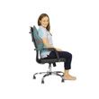 Vive Full Lumbar Cushion