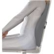 Contour Freedom Back Support Cushion