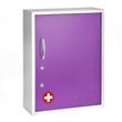 AdirMed Medicine Cabinet with Pull-Out Shelf & Document Pocket