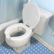 Hinged Toilet Seat Riser