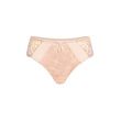 Amoena Arya Brief