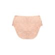 Amoena Arya Brief