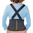 FLA Orthopedics CustomFit Occupational Back Support