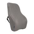 Vive Full Lumbar Cushion