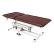 Armedica Hi Lo Bo-Bath Treatment Table