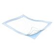 Cardinal Health Passport Absorbent Underpad