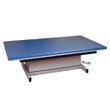 Clinton Hi-Lo Mat Platform With Upholstered Top