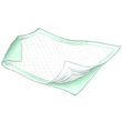 Durasorb Plus Disposable Underpads