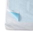 Medline Disposable Poly Flat Stretcher Sheets