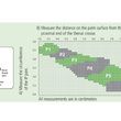 McKie Pediatric Thumb Splint-Size Chart