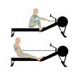 Vive Rowing Machine