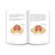 OPTP Understanding And Treating Incontinence Book