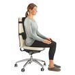 Back Support