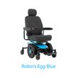Robin;s Blue Egg