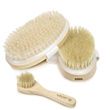 Vive Body Brush Set