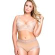 QT Intimates Kelly Lace and Mesh Boyleg Panty-Suntan