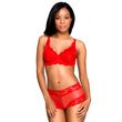 QT Intimates Kelly Lace and Mesh Boyleg Panty