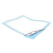 Cardinal Health Wings Plus Heavy Absorbency Underpad