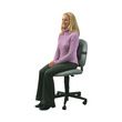 SlimLine Lumbar Support