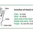 Weplay Squeezers Set - Function of Hand Movement