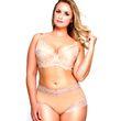 QT Intimates Kelly Lace Underwire Bra-Suntan