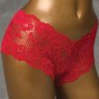 Nearly Me Fashion Lace Panty - Crimson