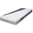 Graham Field Platinum Care 519 Series Foam Mattress With Zipper And DPM