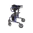 Shop Graham-Field Lumex HybridLX Rollator Transport Chair