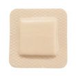 McKesson Hydrocellular Thin Silicone Foam Dressing With Border