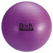 BodySport Standard Fitness Balls