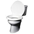 Big John Toilet Seat