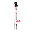 Urban Poling 4Life Walking Poles