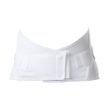 Core Dual Pull Elastic Crisscross Lumbosacral Support - Front