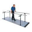 Hausmann Econo Platform Mounted Parallel Bars