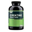 Optimum Nutrition ON Creatine Dietary Supplement