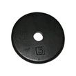 CanDo Iron Disc Weight Plates - 5 lb