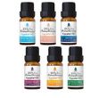 pursonic-essential-aromatherapy-oils-blends