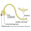 Bard Foley Catheter With 5cc Diagram Illustration