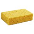 Boardwalk Cellulose Sponges - BWKCS2