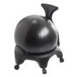 Aeromat Stability Ball Chair